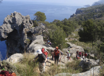 Sport, cultural and gastronomic events