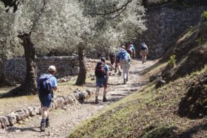 Exclusive mountain Hike & Lunch