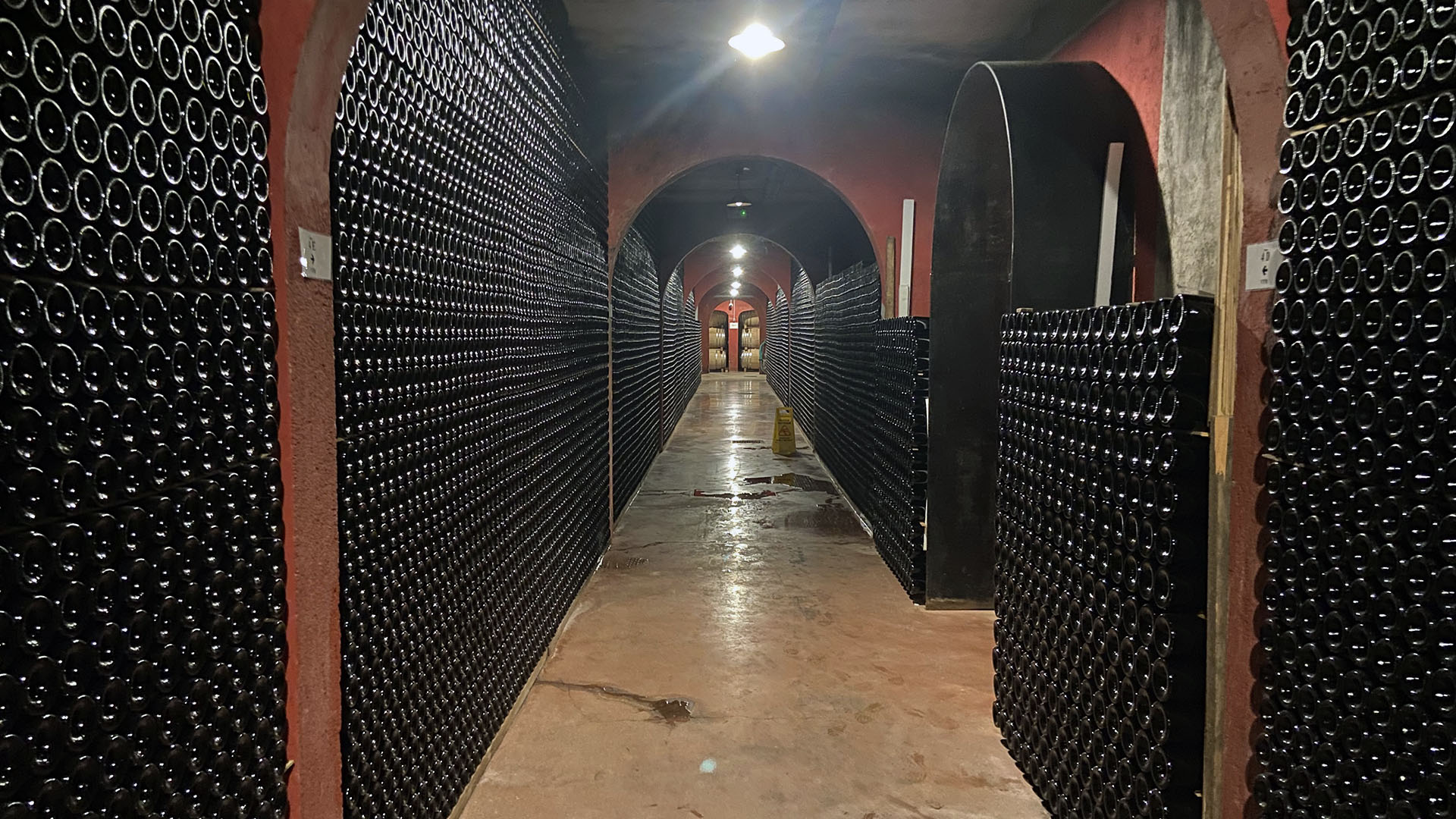 En este momento estás viendo La esencia del vino